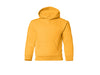 Youth Pullover Hoodie | 2789