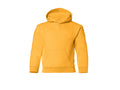 Youth Pullover Hoodie | 2789