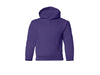 Youth Pullover Hoodie | 2789