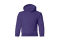 Youth Pullover Hoodie | 2789