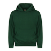 Youth Hoodie | 301