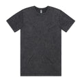 Men's Stone Wash Staple Tee | 5040