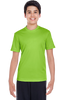 Acid Green